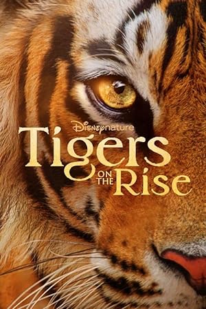 Cover image of the movie Tigers on the Rise (2024)