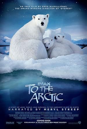 Cover image of the movie To the Arctic 3D (2012)