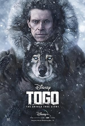 Cover image of the movie Togo (2019)