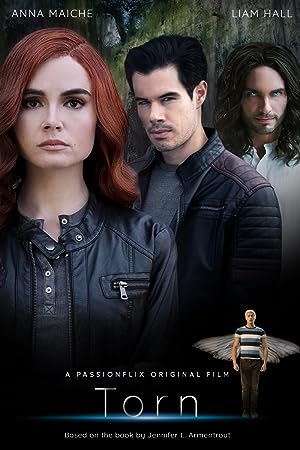 Cover image of the movie Torn: A Wicked Trilogy (2022)