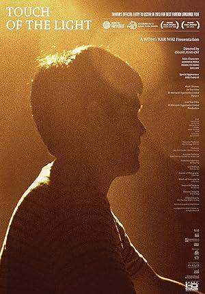 Cover image of the movie Touch of the Light (2012)