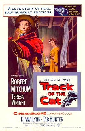 Cover image of the movie Track of the Cat (1954)