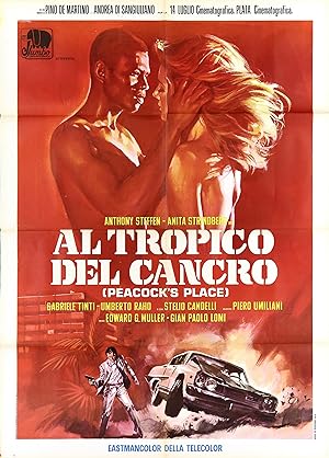 Cover image of the movie Tropic of Cancer (1972)