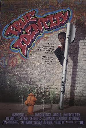 Cover image of the movie True Identity (1991)