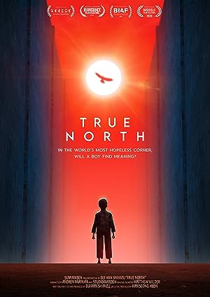 Cover image of the movie True North (2020)