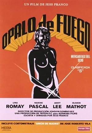 Cover image of the movie Two Female Spies with Flowered Panties (1980)