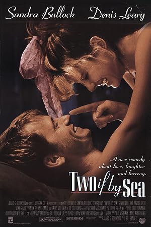 Cover image of the movie Two If by Sea (1996)