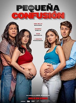 Cover image of the movie Una Pequeña Confusion (2024)