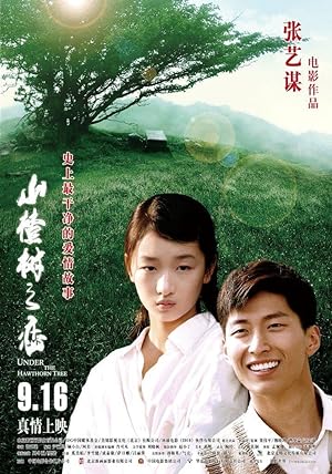 Cover image of the movie Under the Hawthorn Tree (2010)
