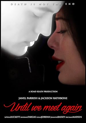 Cover image of the movie Until We Meet Again (2022)