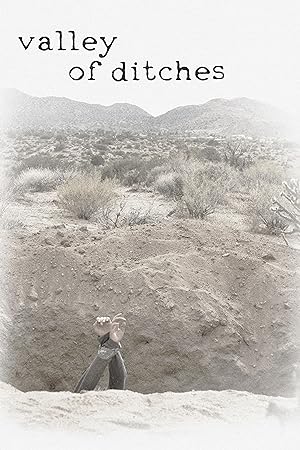 Cover image of the movie Valley of Ditches (2017)