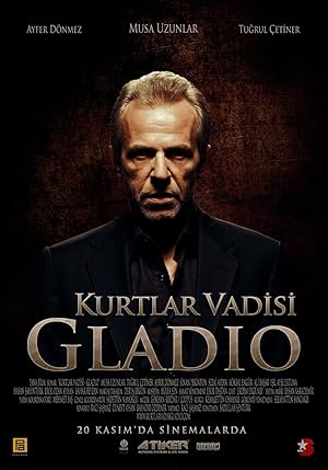 Cover image of the movie Valley of the Wolves: Gladio (2009)