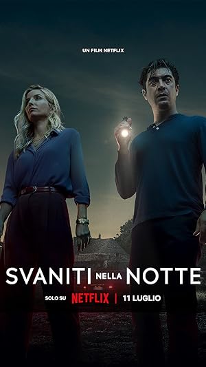 Cover image of the movie Vanished Into the Night (2024)