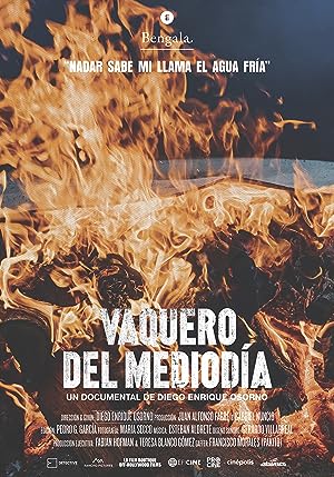 Cover image of the movie Vaquero del mediodía (2019)