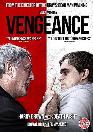 Cover image of the movie Vengeance (2020)