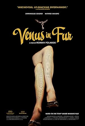 Cover image of the movie Venus in Fur (2013)
