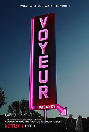 Cover image of the movie Voyeur (2017)