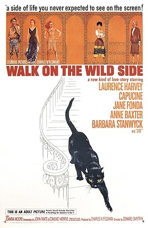 Cover image of the movie Walk on the Wild Side (1962)