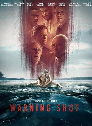 Cover image of the movie Warning Shot (2018)