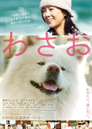 Cover image of the movie Wasao (2011)