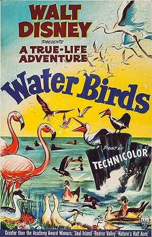 Cover image of the movie Water Birds (1952)