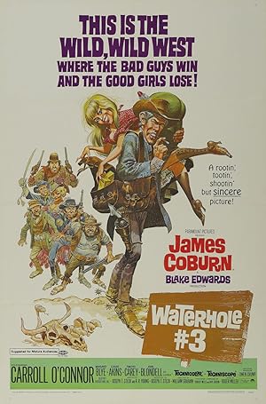 Cover image of the movie Waterhole #3 (1967)