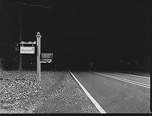 Cover image of the movie Wellwood (2019)