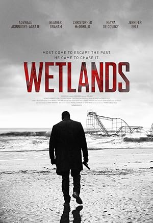Cover image of the movie Wetlands (2017)