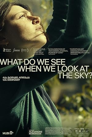 Cover image of the movie What Do We See When We Look at the Sky? (2021)