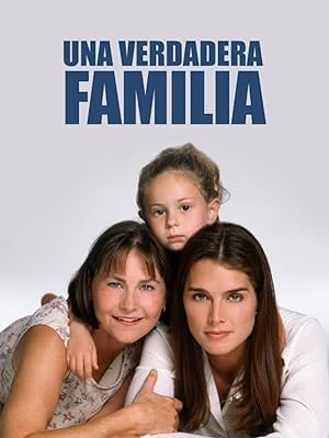 Cover image of the movie What Makes a Family (2001)