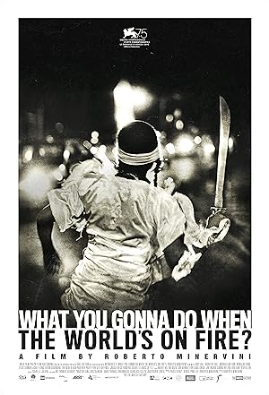 Cover image of the movie What You Gonna Do When the World's on Fire? (2018)