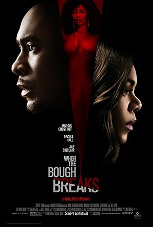 Cover image of the movie When the Bough Breaks (2016)