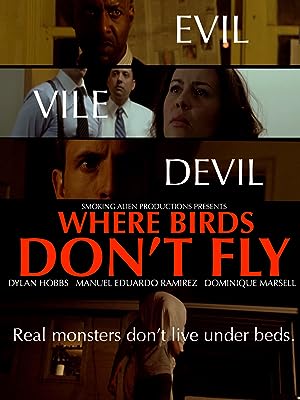 Cover image of the movie Where Birds Don't Fly (2017)