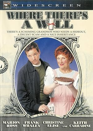 Cover image of the movie Where There's a Will (2006)