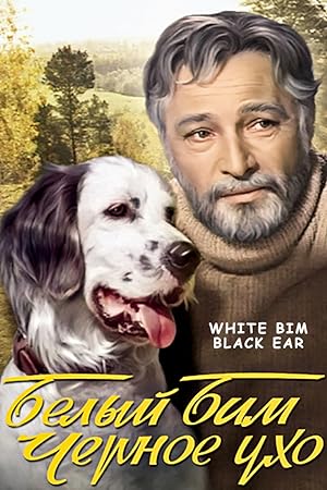 Cover image of the movie White Bim Black Ear (1977)
