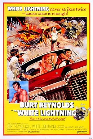 Cover image of the movie White Lightning (1973)
