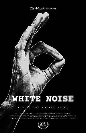Cover image of the movie White Noise (2020)