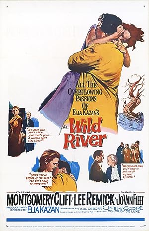 Cover image of the movie Wild River (1960)