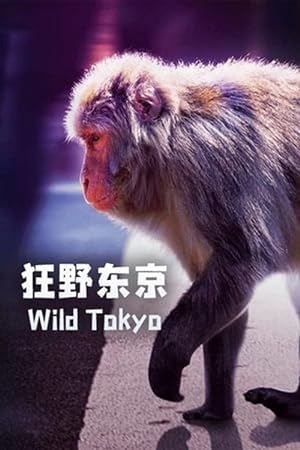 Cover image of the movie Wild Tokyo (2020)