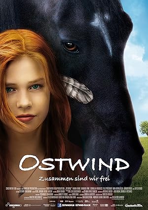Cover image of the movie Windstorm (2013)