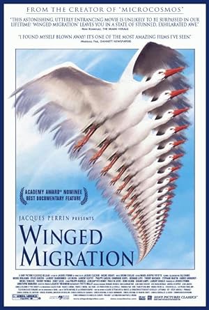 Cover image of the movie Winged Migration (2001)