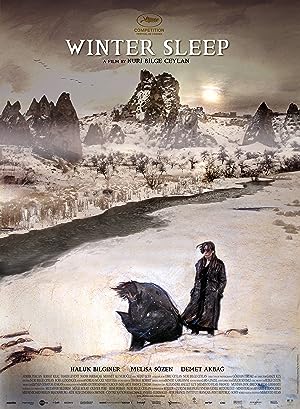 Cover image of the movie Winter Sleep (2014)