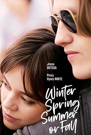 Cover image of the movie Winter Spring Summer or Fall (2024)