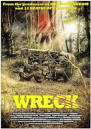 Cover image of the movie Wreck (2020)