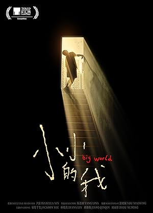 Cover image of the movie Xiao Xiao de Wo (2024)