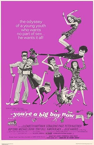 Cover image of the movie You're a Big Boy Now (1966)