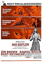 Cover image of the movie 100 Rifles
