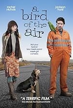 Cover image of the movie A Bird of the Air