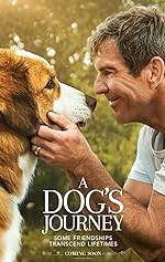 Cover image of the movie A Dog's Journey