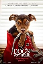 Cover image of the movie A Dog's Way Home